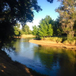 Red Bluff RV Park Reviews: A Review Of Red Bluff Park